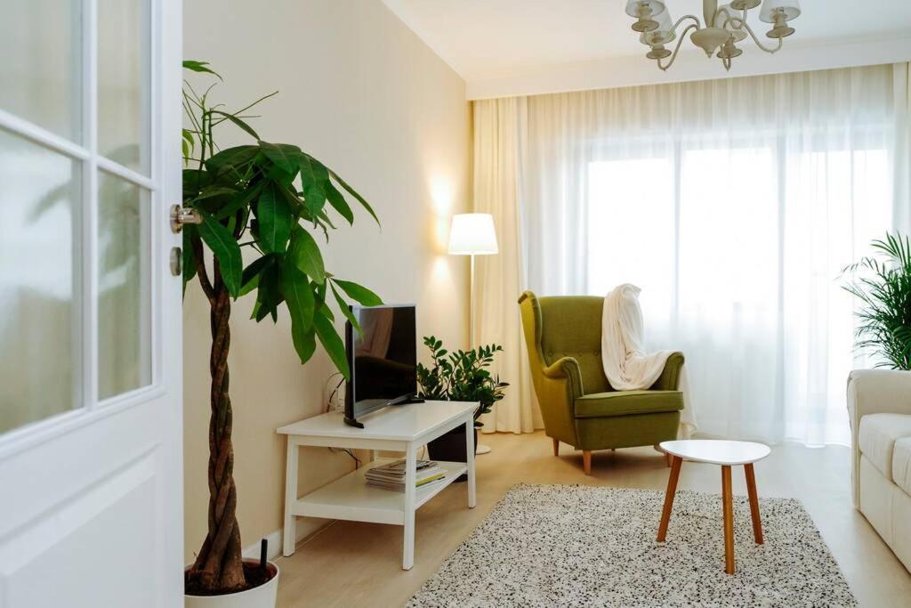 Elegant Vibes Apartment Next To Obor Market 布加勒斯特 外观 照片
