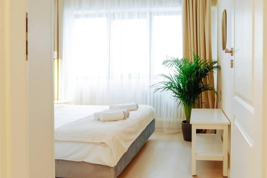 Elegant Vibes Apartment Next To Obor Market 布加勒斯特 外观 照片