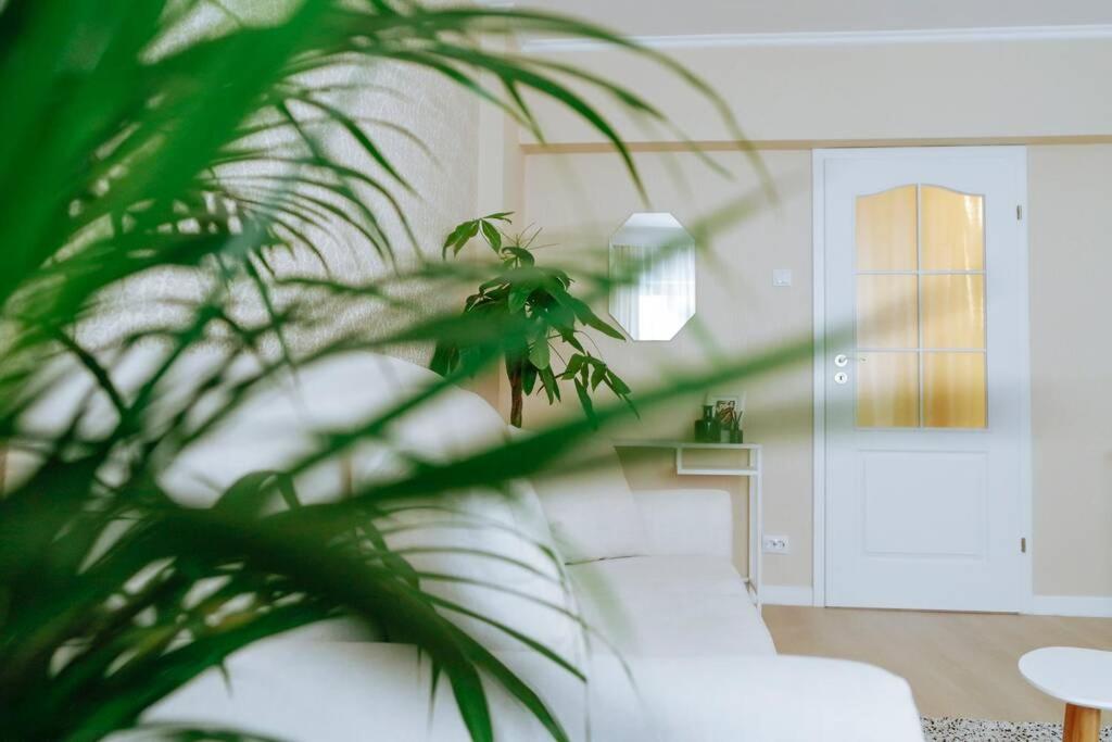 Elegant Vibes Apartment Next To Obor Market 布加勒斯特 外观 照片